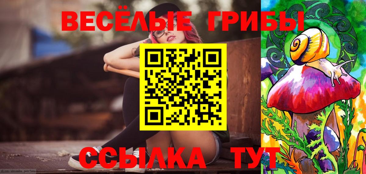 Псилоцибиновые грибы Cubensis Новодвинск