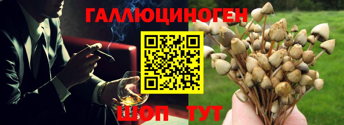 Галлюциногенные грибы Psilocybine cubensis  что такое наркотик  Галлюциногенные грибы Magic Shrooms  Новодвинск  Вход с VPN 