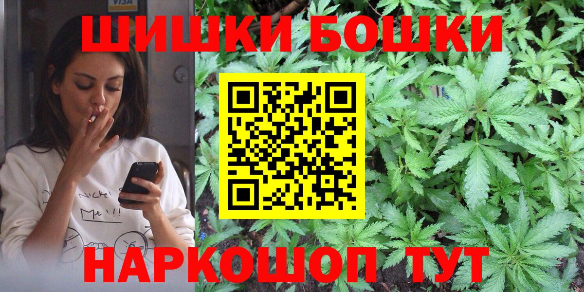 Конопля гибрид Новодвинск